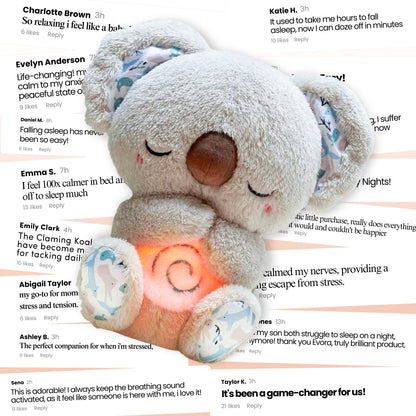 The Calming Koala™